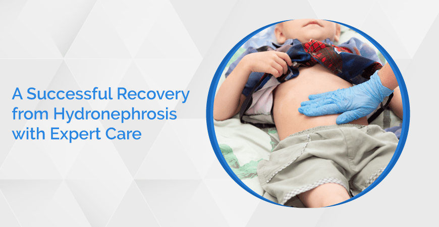 A Successful Recovery From Hydronephrosis With Expert Care