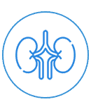 Kidney White1
